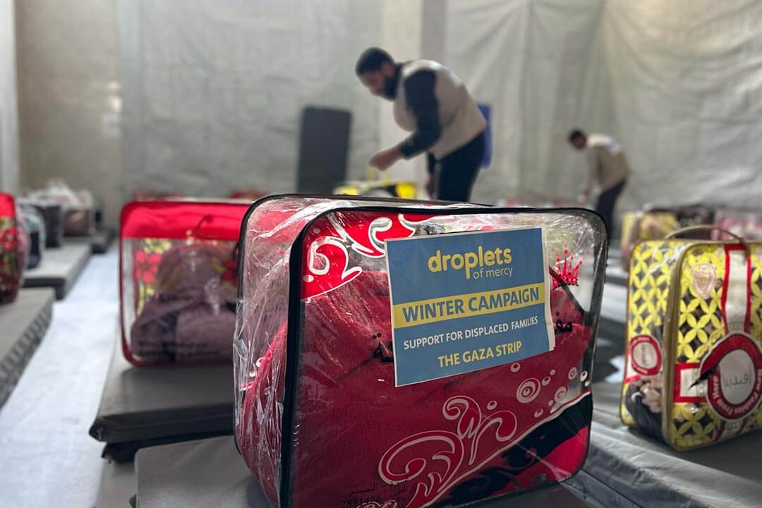 DOM-Winter-Appeal-image-8